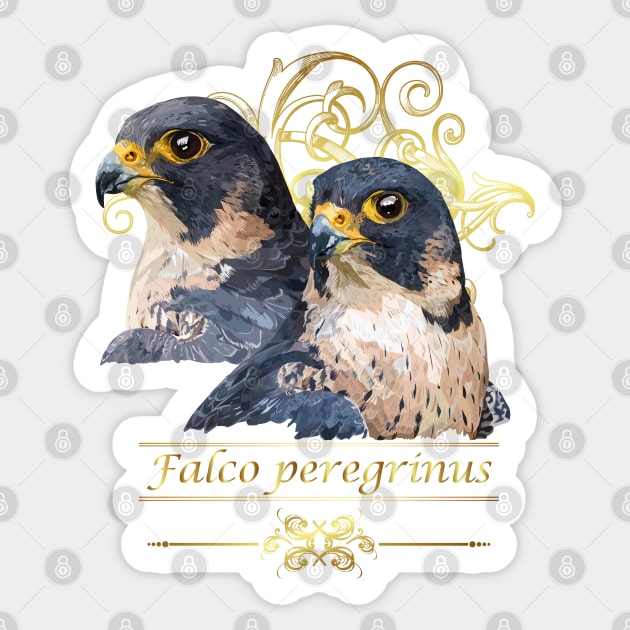 Peregrine falcon Sticker by obscurite